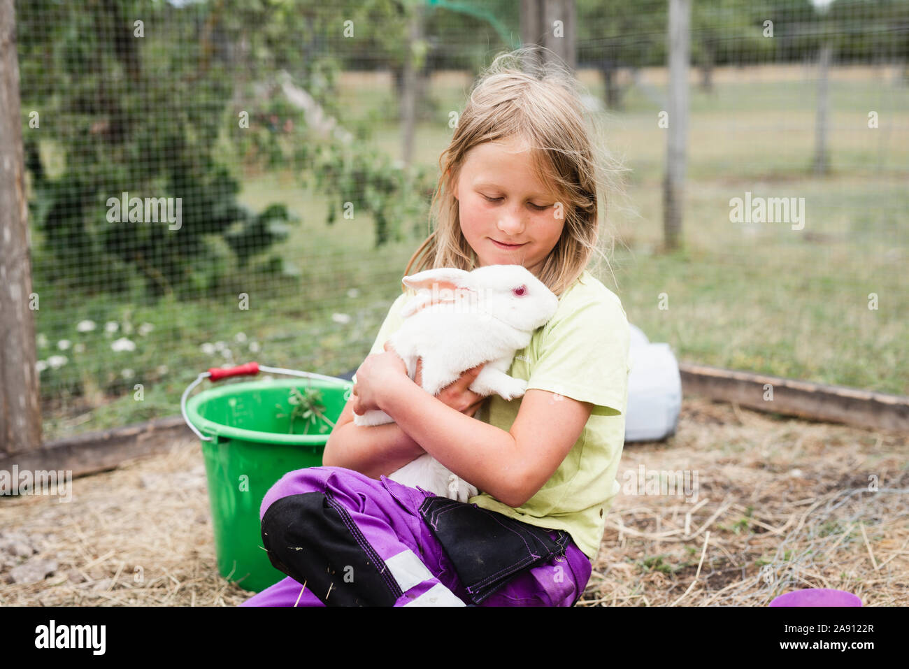 Girl holding rabbit Stock Photo - Alamy