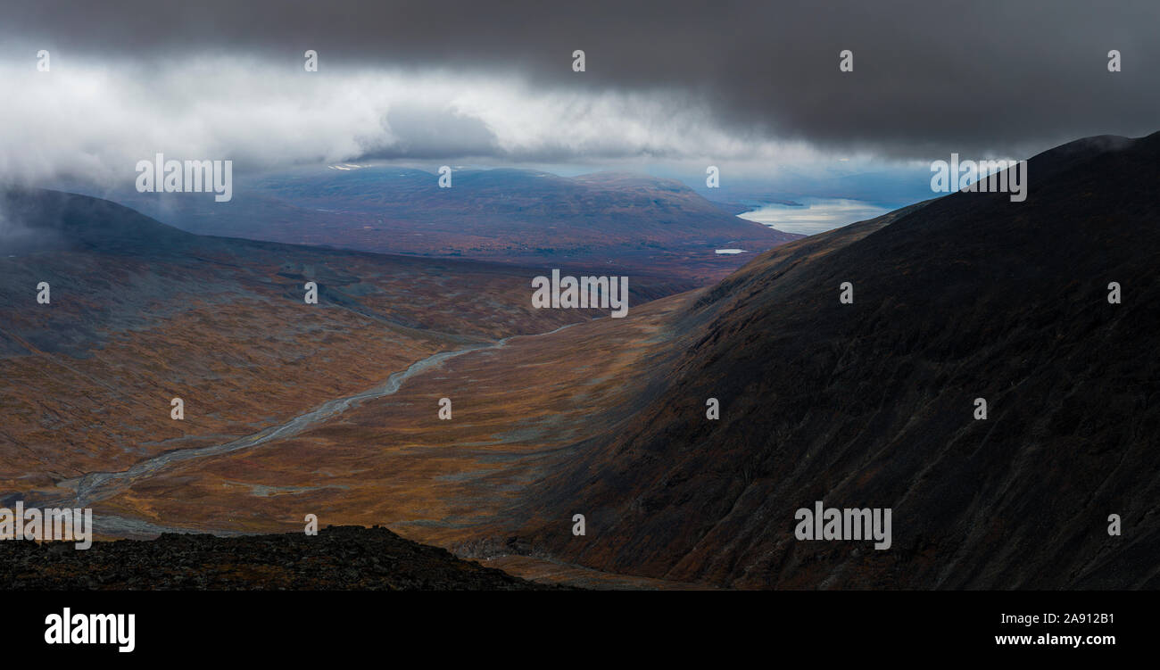 Black birch trees panoramic hi-res stock photography and images - Alamy