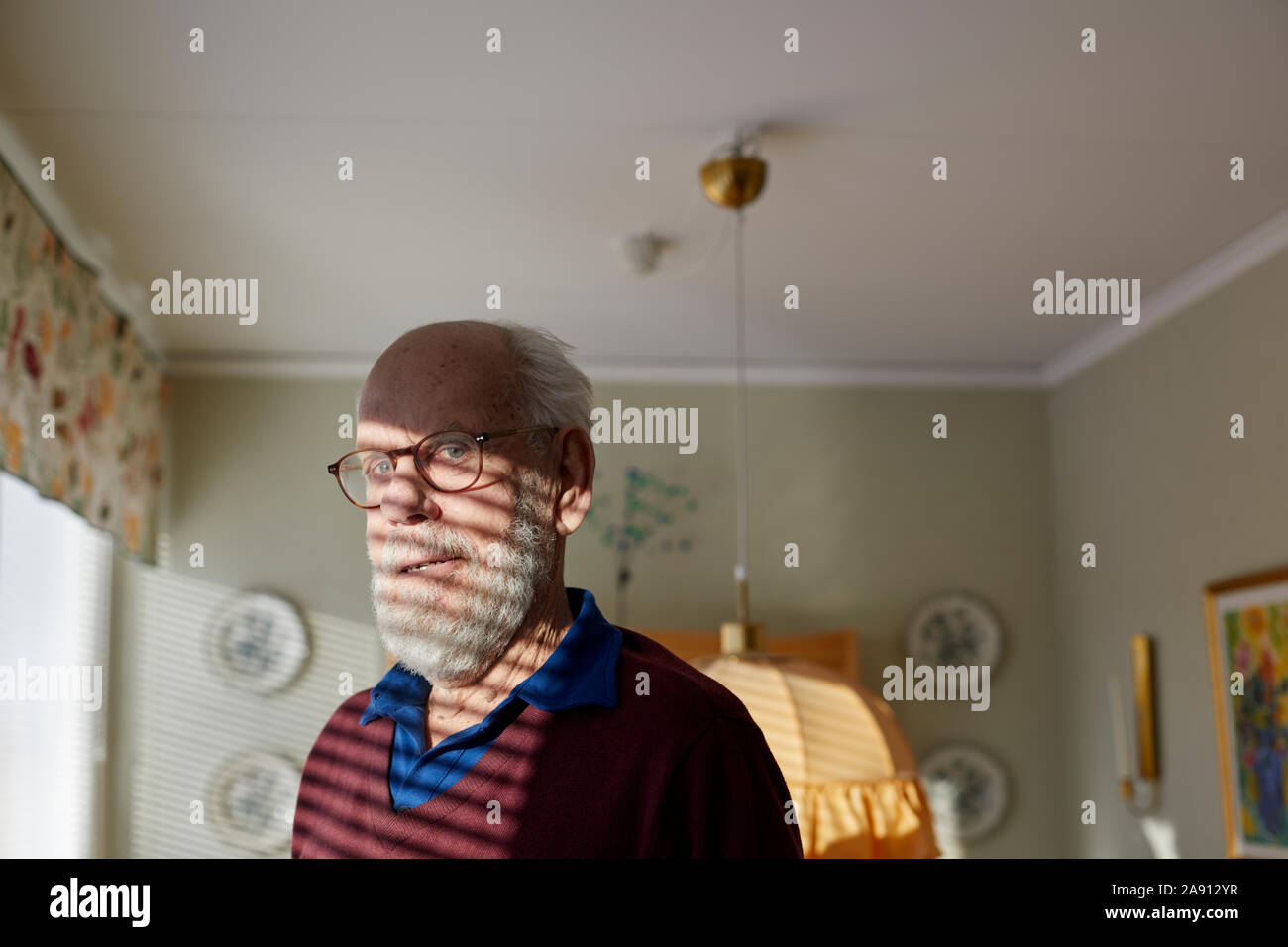 Portrait of senior man Stock Photo