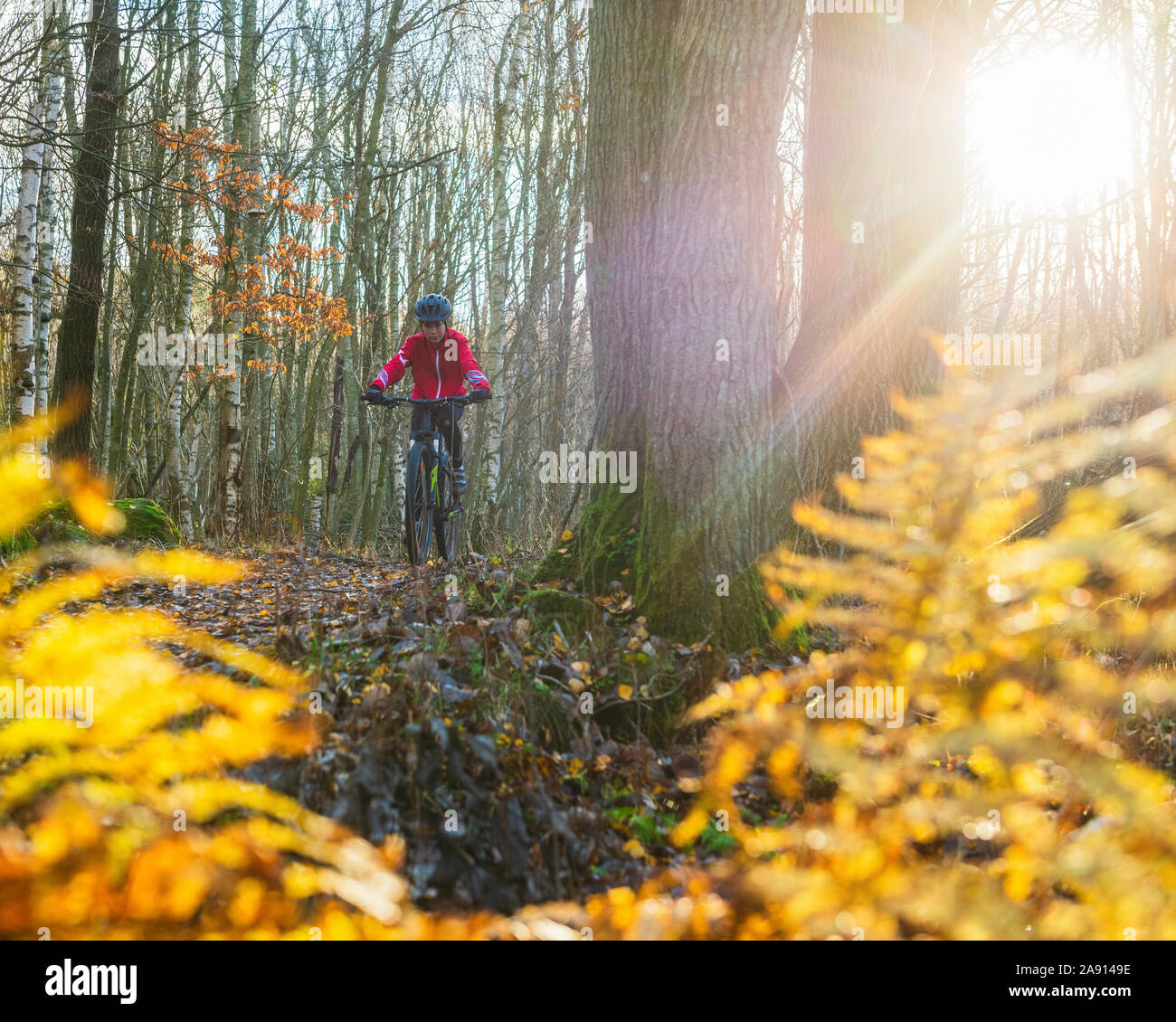 Cyclist in forest Stock Photo