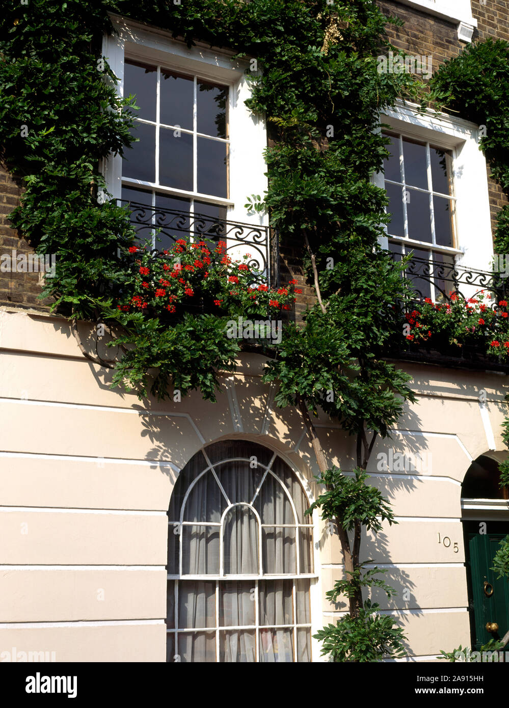 London townhouse with red geraniums in window boxes on first floor