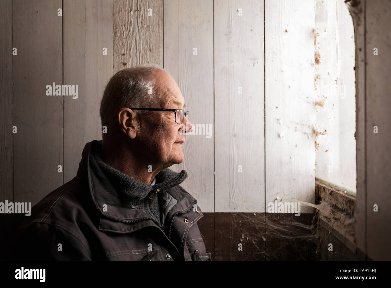 Senior man looking away Stock Photo