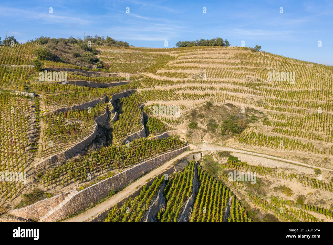 France, Drome, Tain l'Hermitage, AOC vineyard of the Rhone valley, Hermitage vineyard // France, Drôme (26), Tain-l'Hermitage, vignoble AOC de la vall Stock Photo