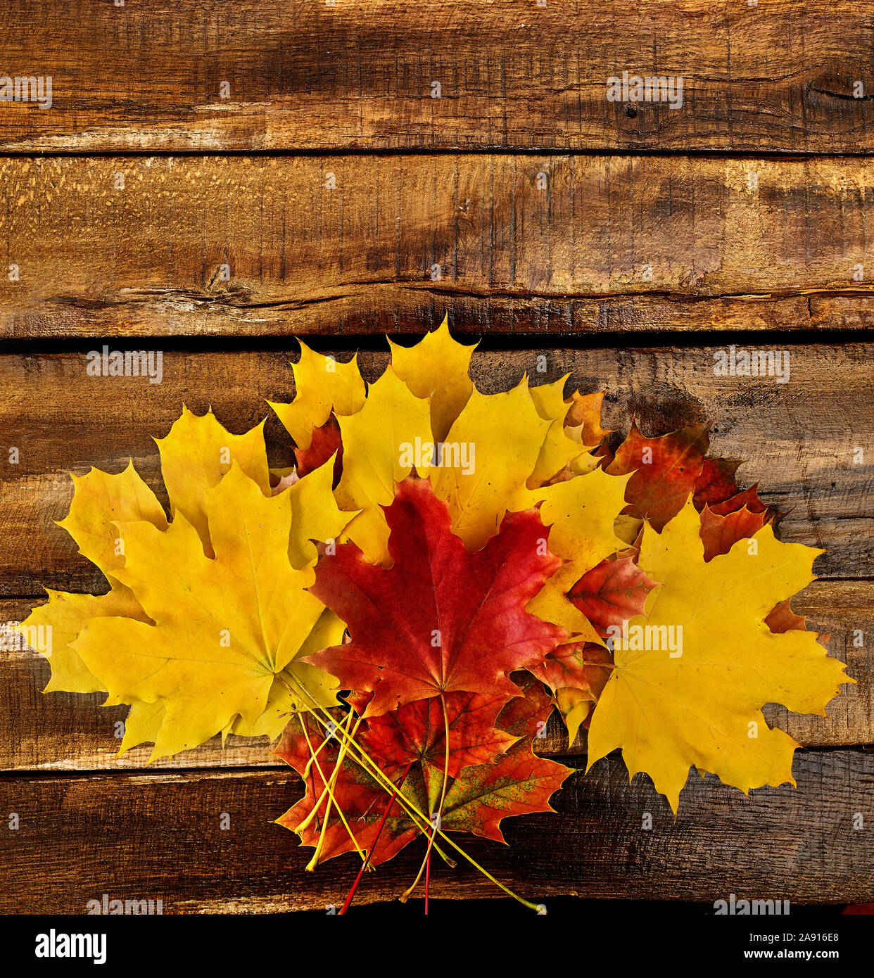 Autumn maple leaves on top view wooden table Stock Photo - Alamy