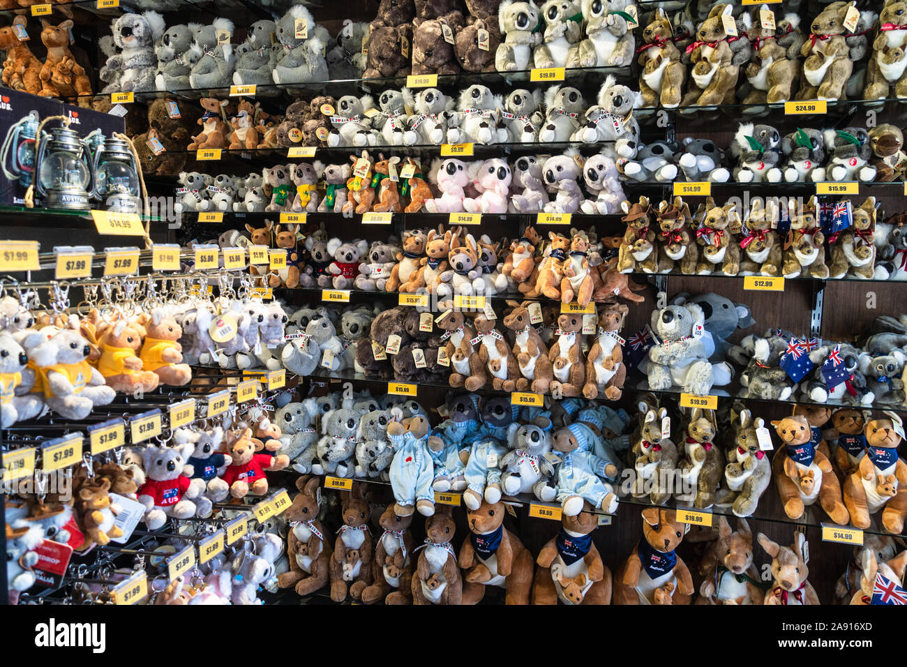 Sydney, Australia - October 2 2019: Various typical Australian stuffed animals as the koala and the kangaroo in a souvenir store in Sydney Stock Photo