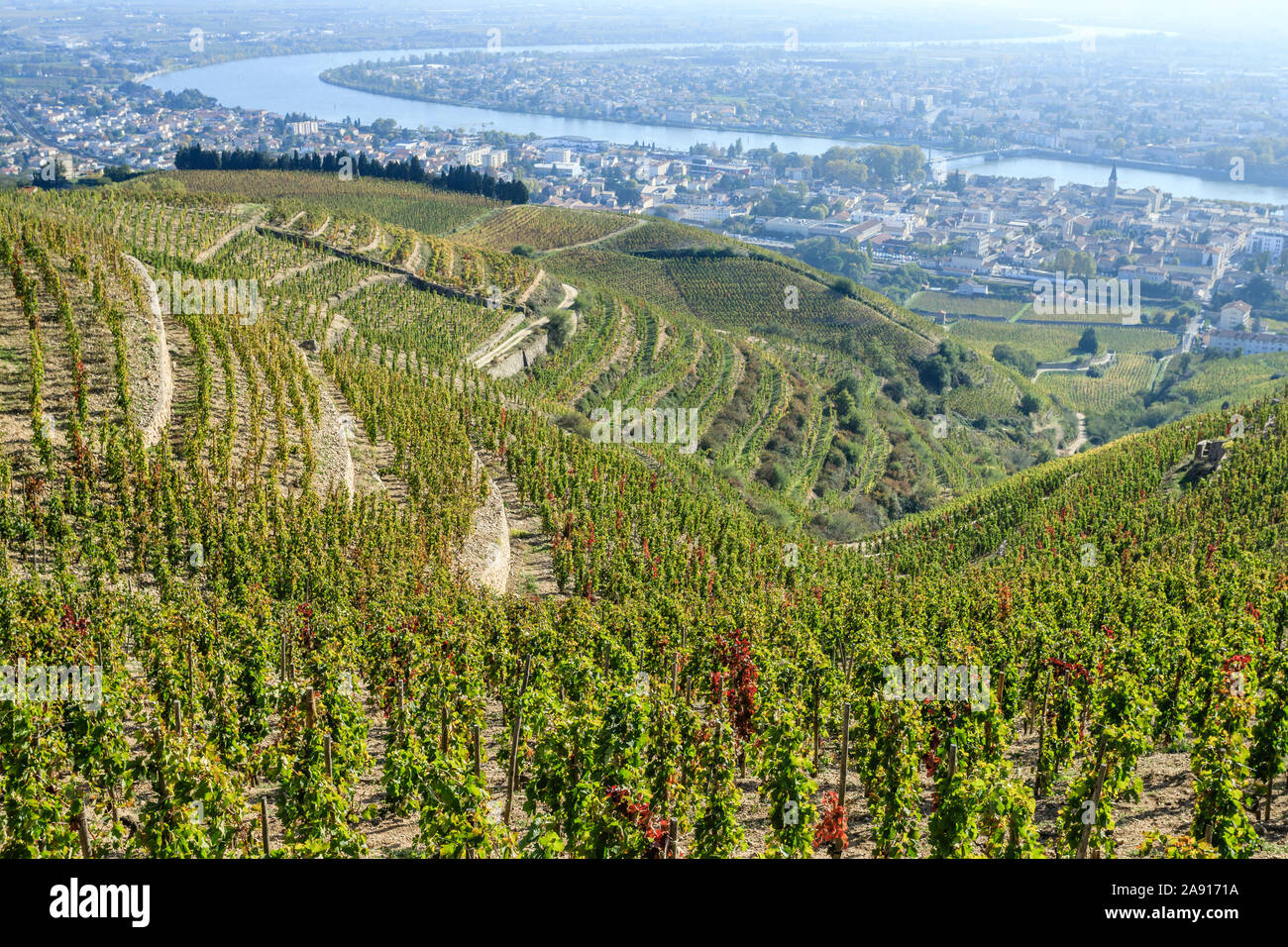 France, Drome, Tain l'Hermitage, AOC vineyard of the Rhone valley, view from the hill and Hermitage vineyard,  Saint Christophe chapel // France, Drôm Stock Photo