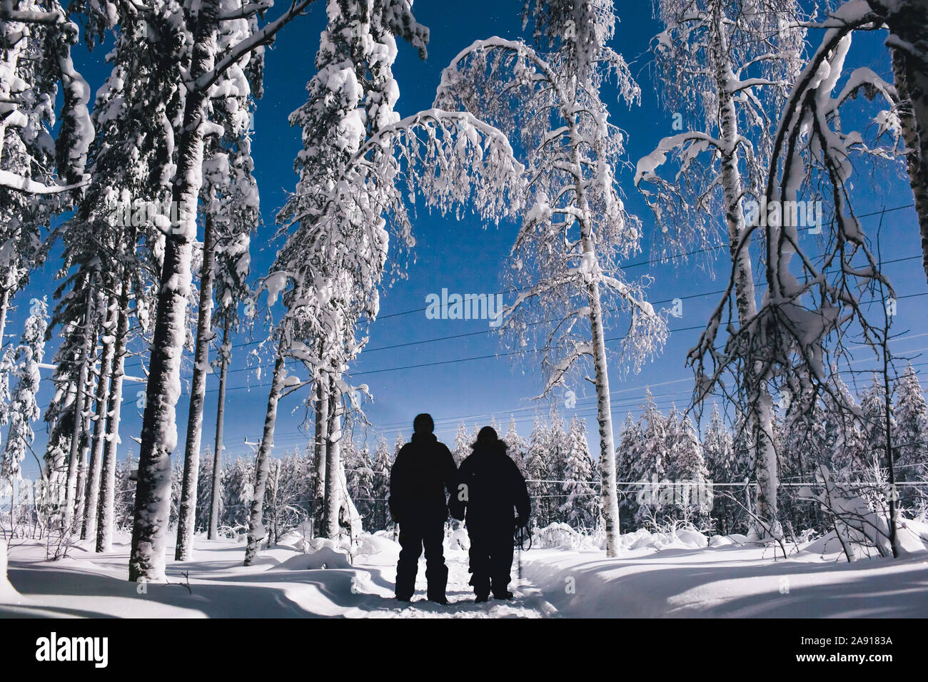 Walking through winter forest hi-res stock photography and images - Alamy