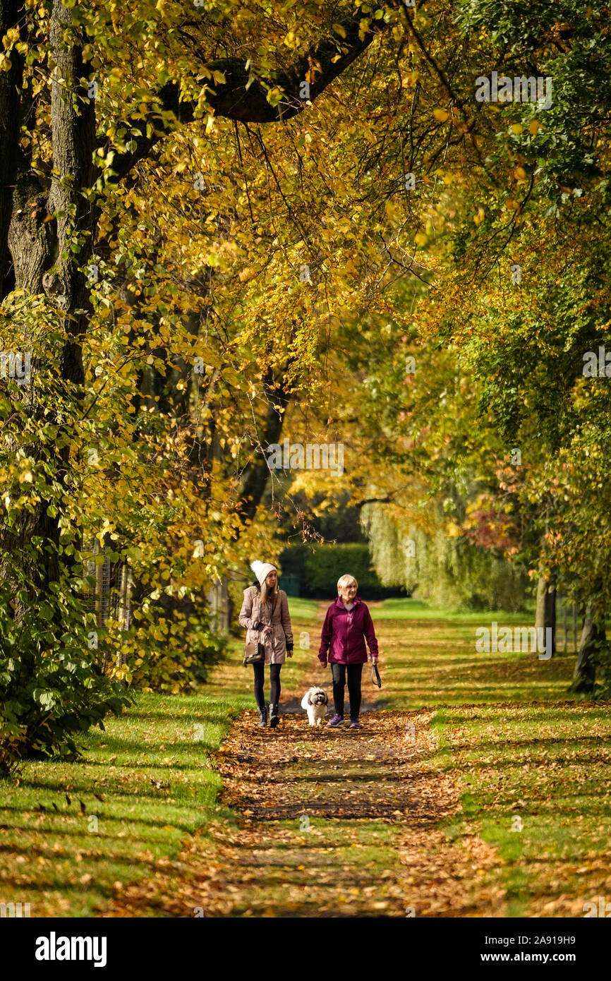 Women walking a dog hi-res stock photography and images - Alamy