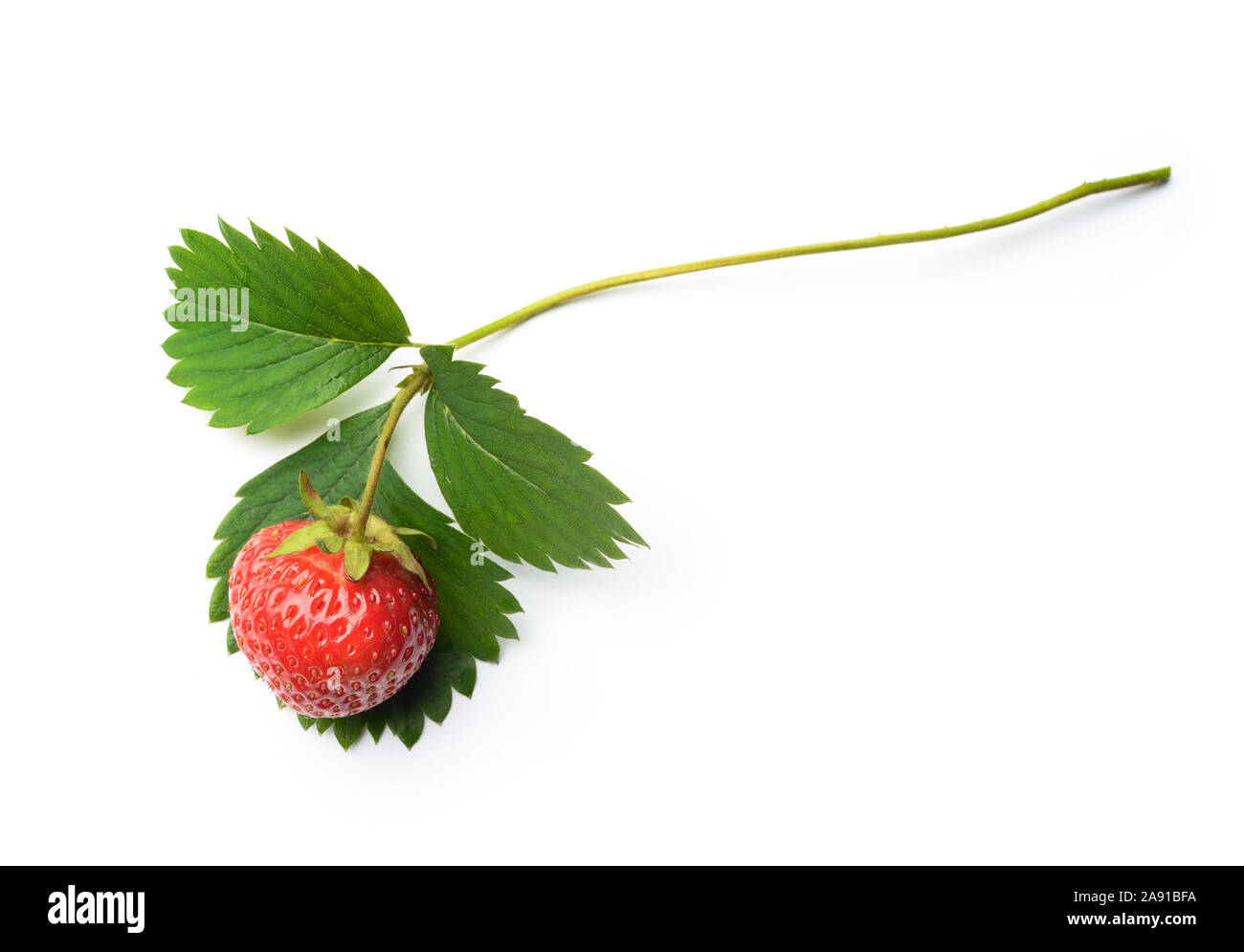 Summer organic red ripe strawberry hi-res stock photography and images ...
