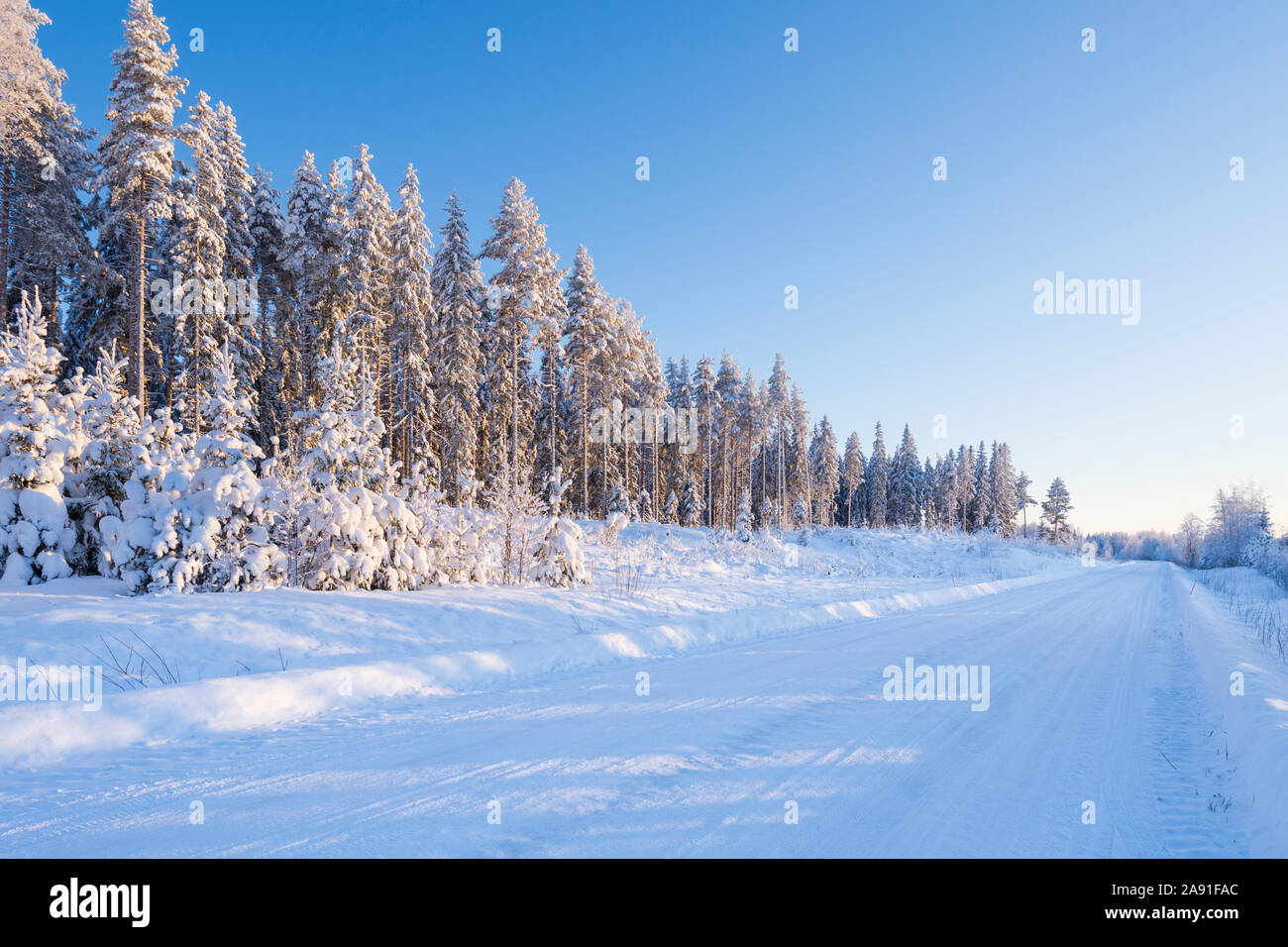 Country road in winter landscape, trees covered with snow, Finland Stock Photo