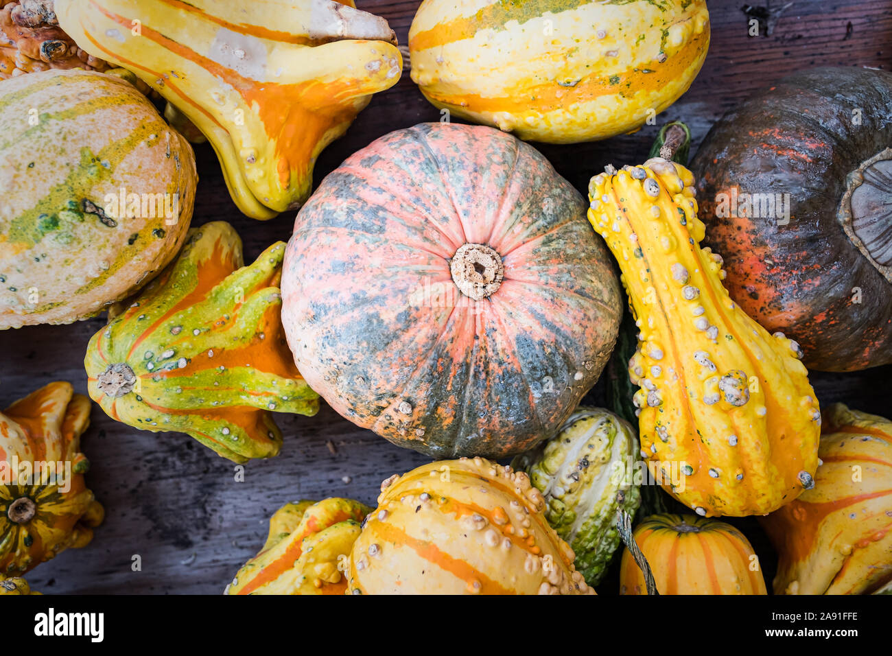 Colourful mixture of Gords on sale at an Amish store in Nolensville
