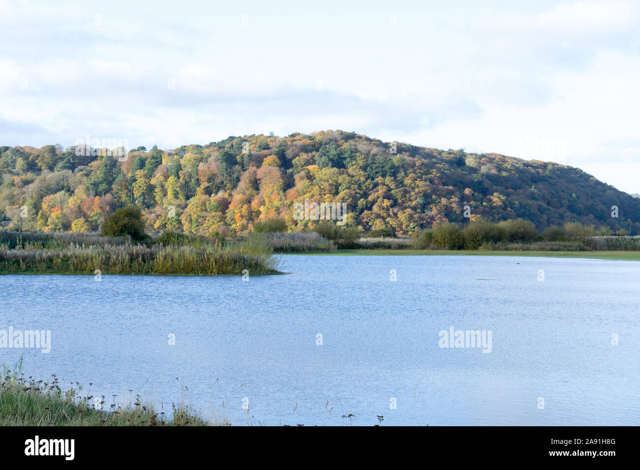 RSPB nature reserve in Conwy Stock Photo
