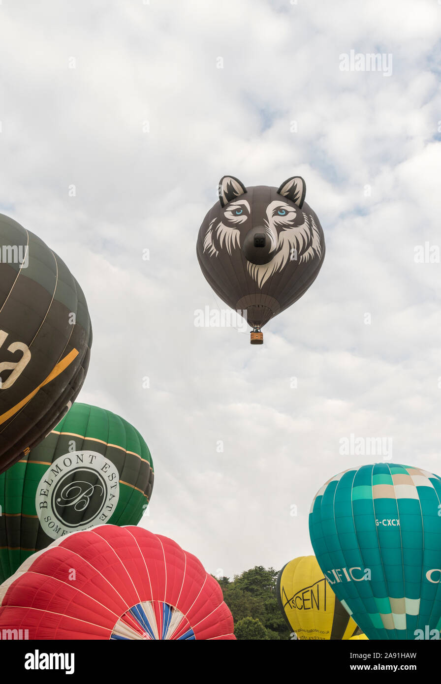 The Wolf, a special shape at the mass ascent of hot air balloons from the launch site at Ashton Court Estate for the 2019 Bristol Balloon Fiesta Stock Photo
