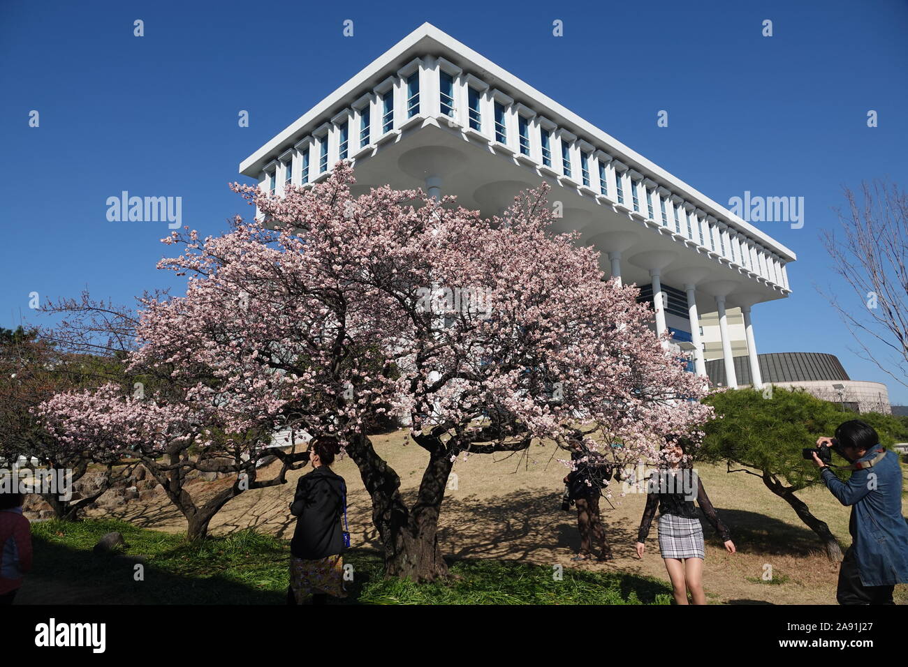 Spring in Republic of Korea Stock Photo