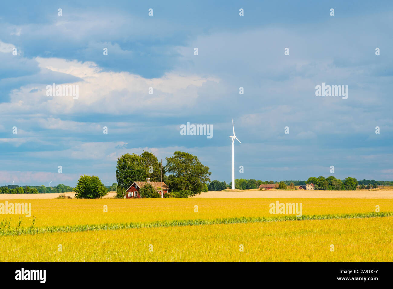 Rural landscape Stock Photo