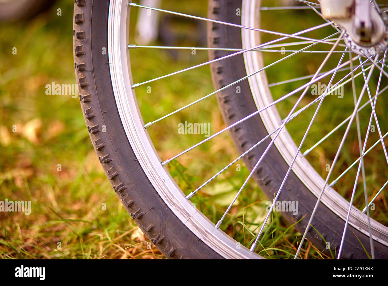 Bike nuts hires stock photography and images Alamy