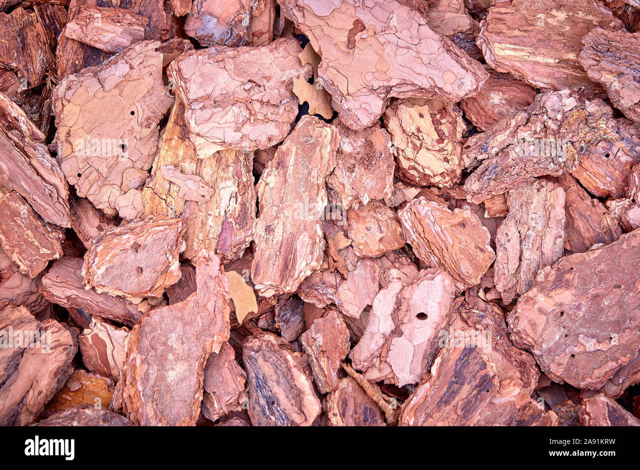 Wood chip bark ground cover hires stock photography and images Alamy