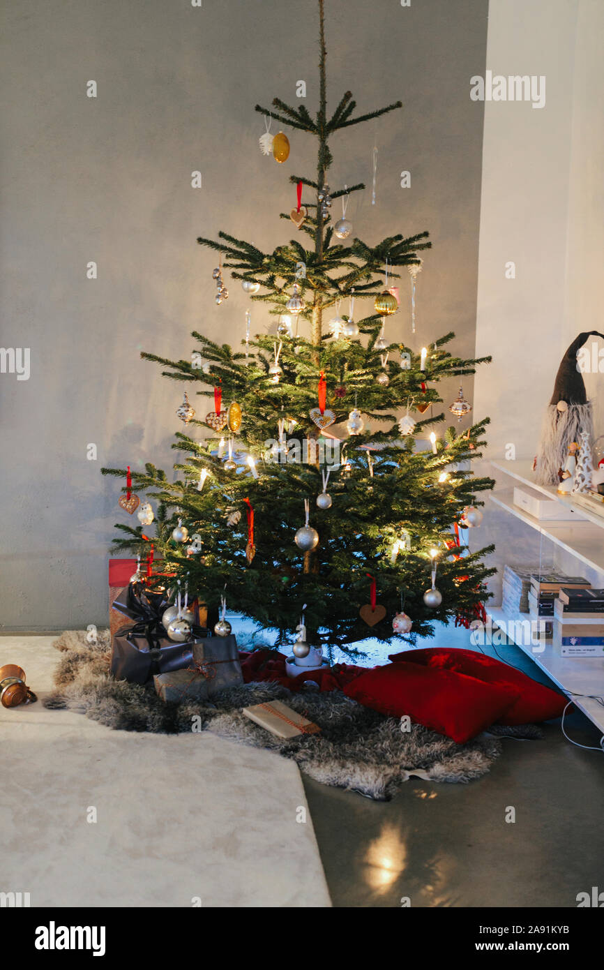 Christmas tree in living room Stock Photo - Alamy