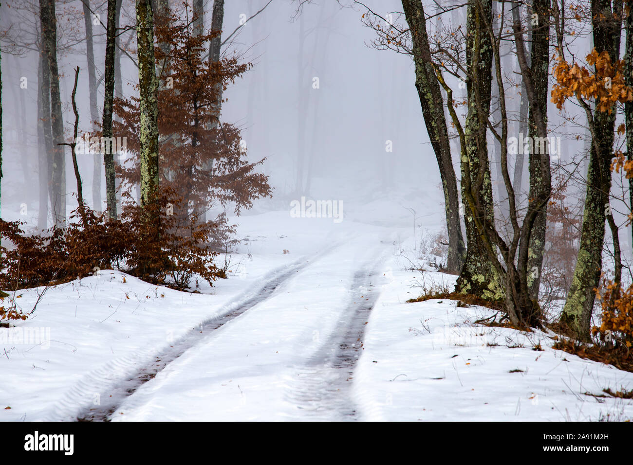 Country road in snowy forest in the mountains Stock Photo - Alamy