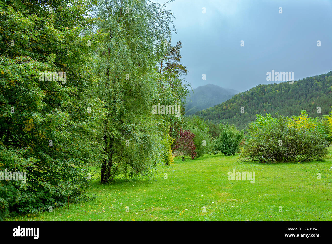 Plot of landscape Park on a hillside in a mountainous area in early autumn Stock Photo