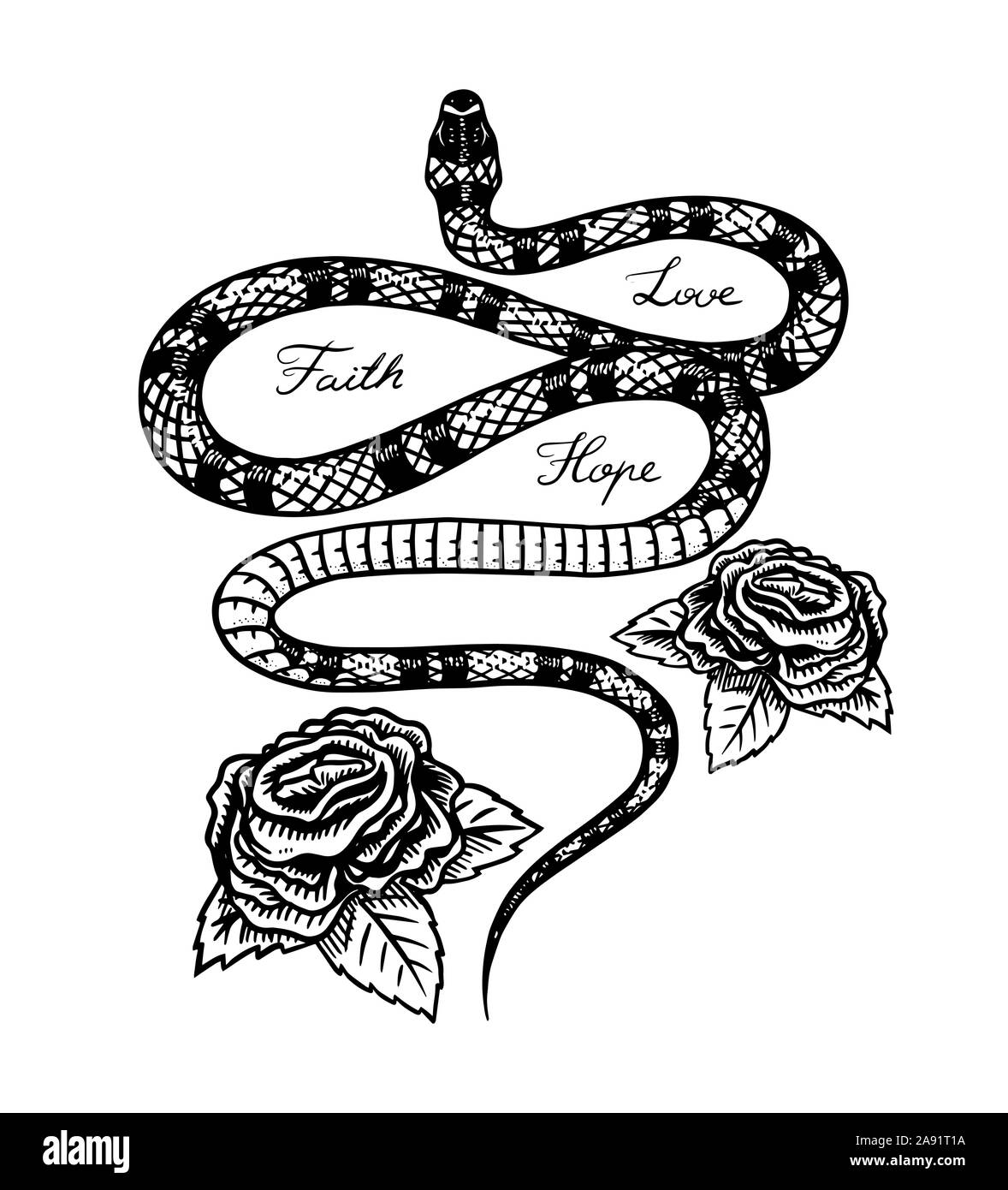 Milk snake with flowers in Vintage style. Serpent cobra or python or poisonous viper. Engraved hand drawn old reptile sketch for Tattoo. Anaconda for Stock Vector