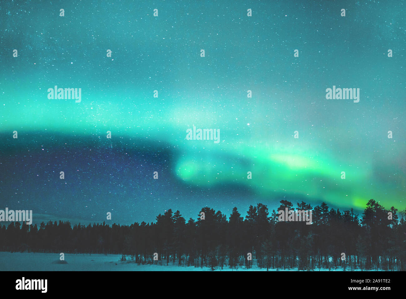 Aurora borealis over forest Stock Photo