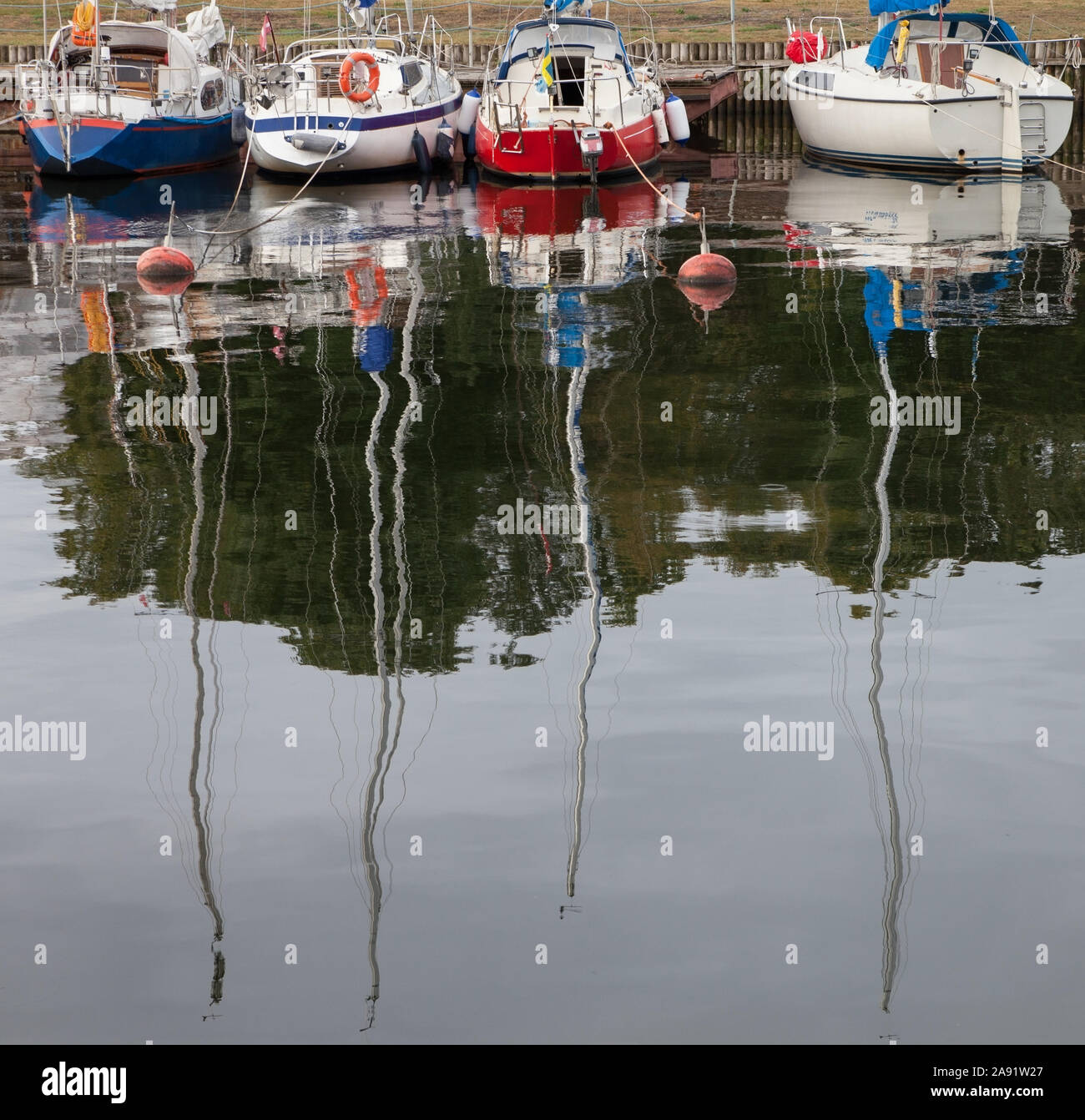 Group of yachts on water in a dock Stock Photo - Alamy