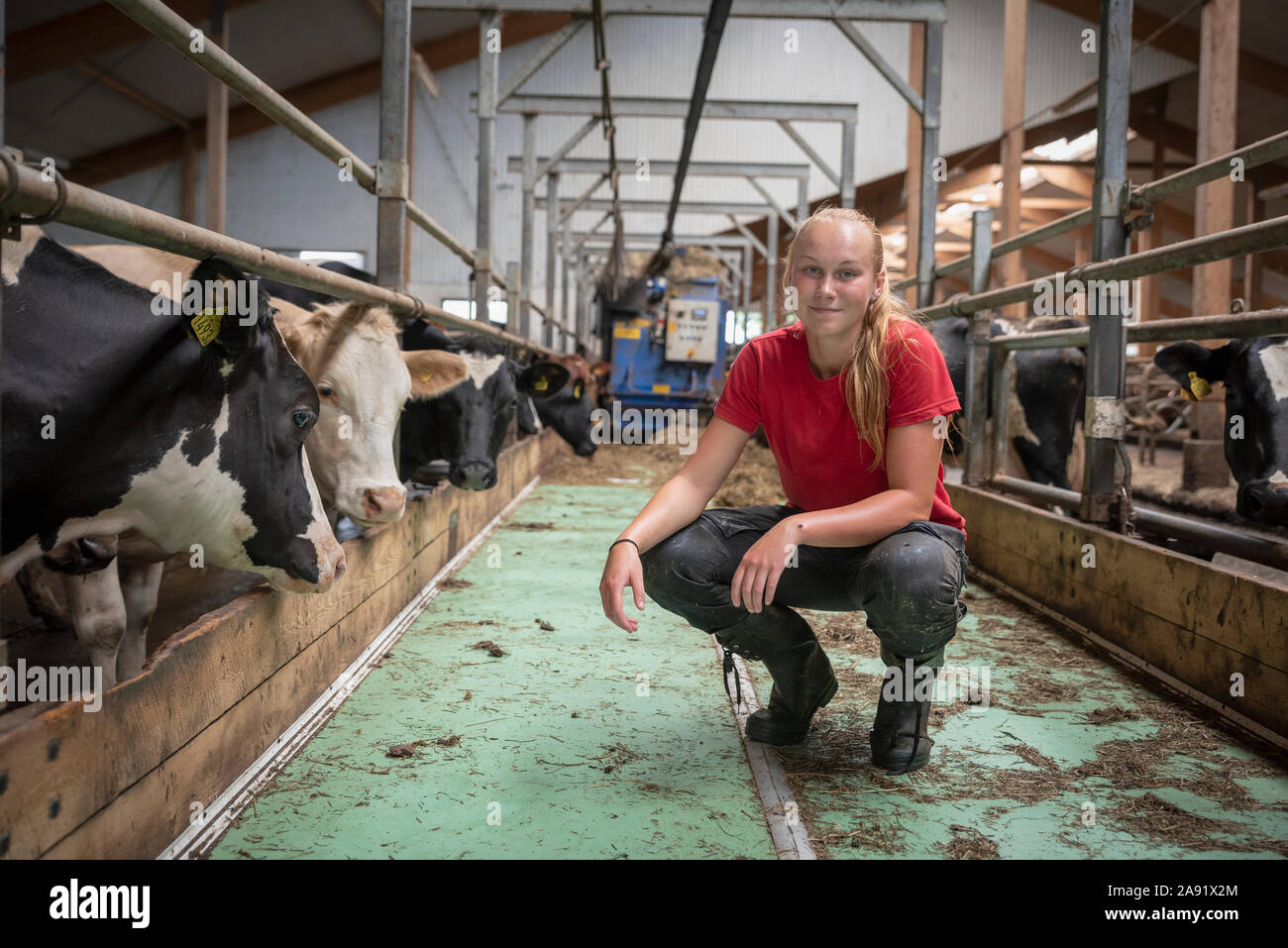Girl and cow hi-res stock photography and images - Alamy