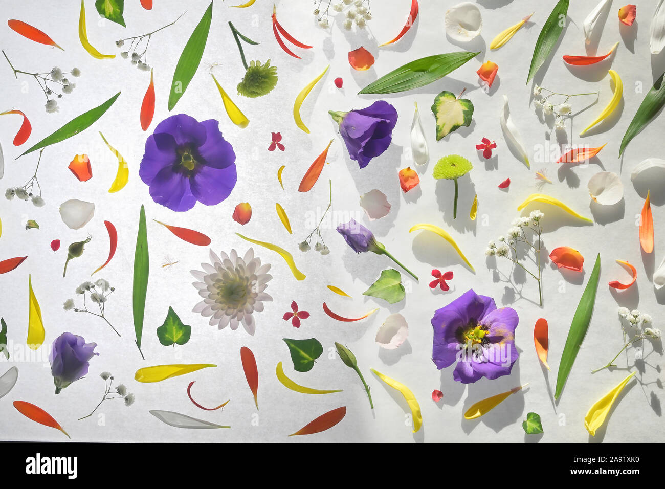 Colorful flowers pattern hi-res stock photography and images - Alamy