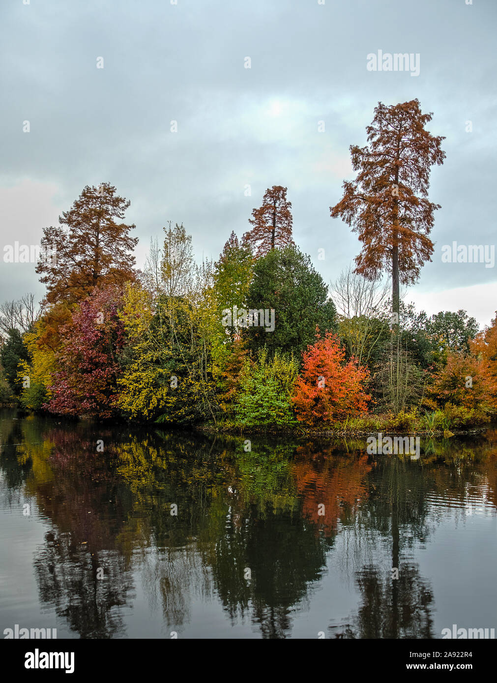 The lovely colours of Autumn foliage are reflected in the waters of a pond in Kew Gardens, London. Stock Photo