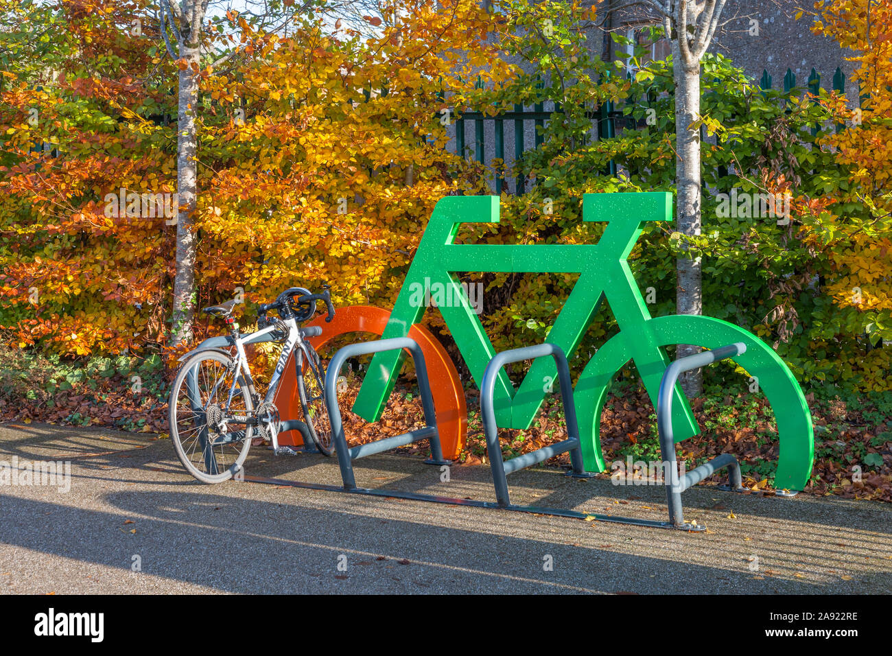 Cork City, Cork, Ireland. 12th November, 2019. A bicycle locked up at a ...