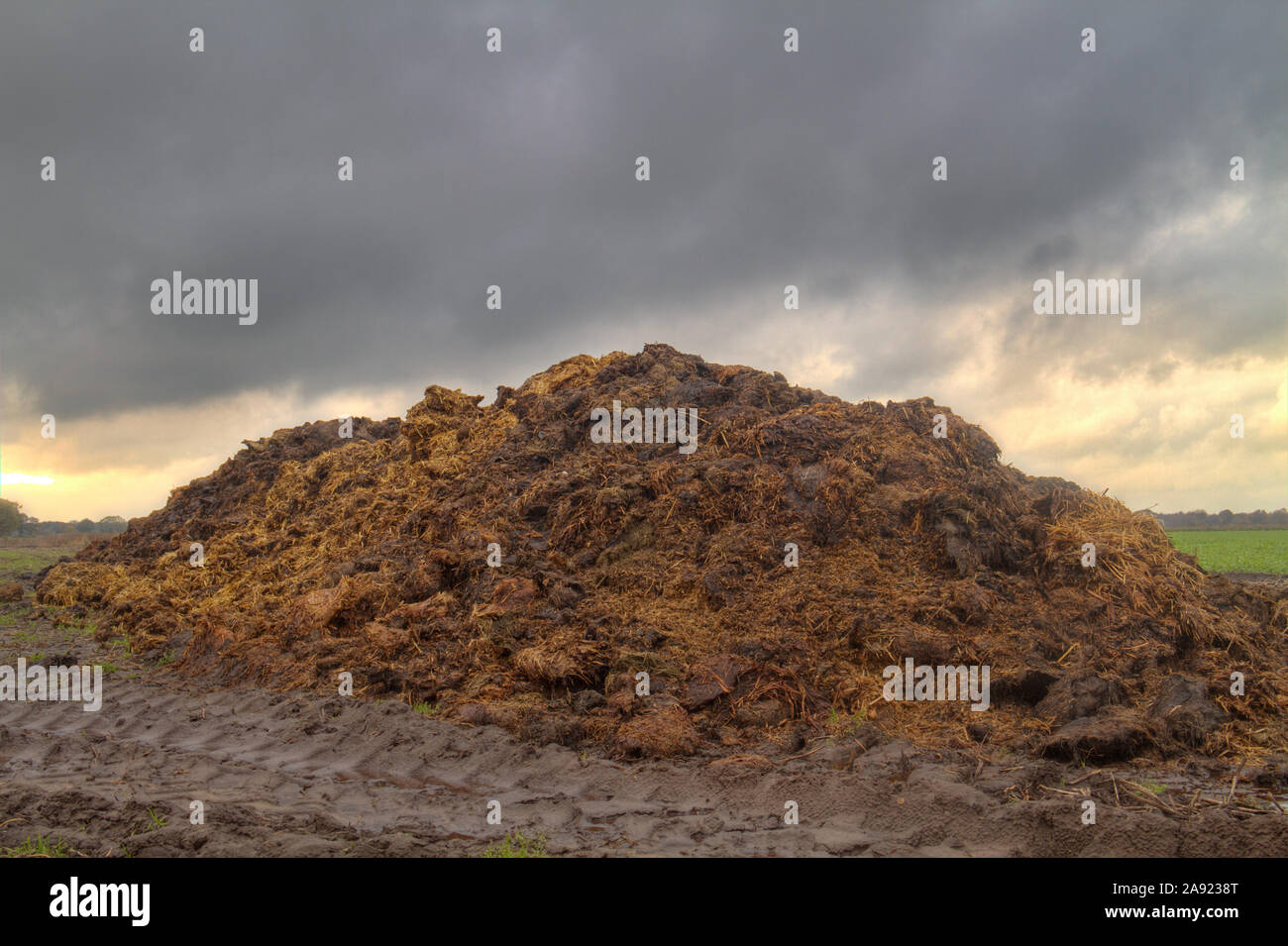 Organic farming: heap of manure mixed with straw on a field Stock Photo