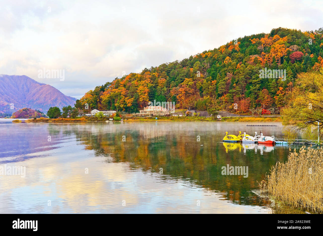 View of the colorful forest at Lake Kawaguchi in Japan in autumn morning. Stock Photo