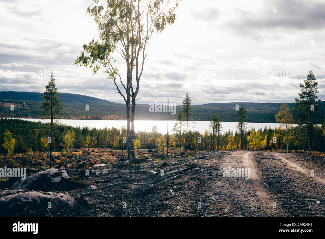 Landscape with lake Stock Photo - Alamy