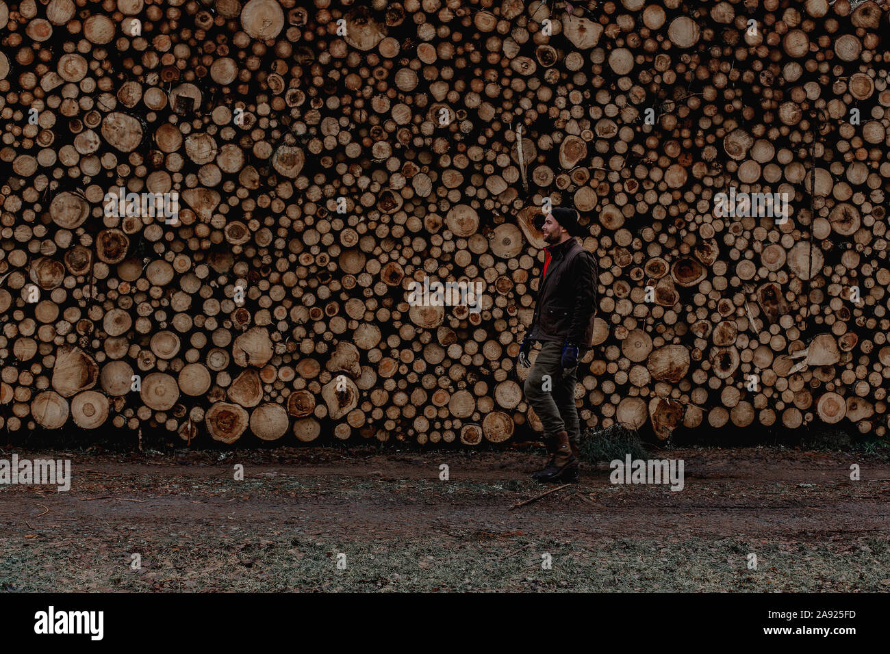 Man standing in front of stack of logs Stock Photo