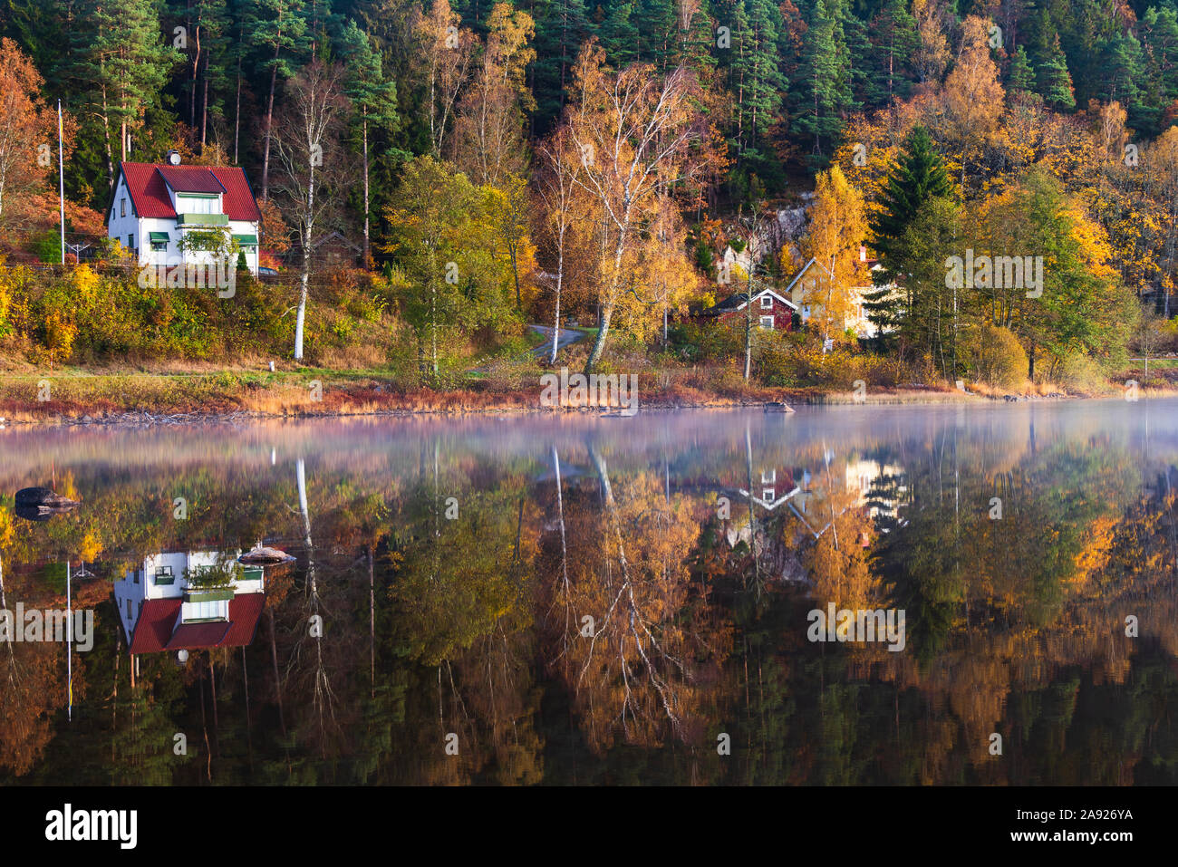 Autumn forest reflecting in lake Stock Photo - Alamy