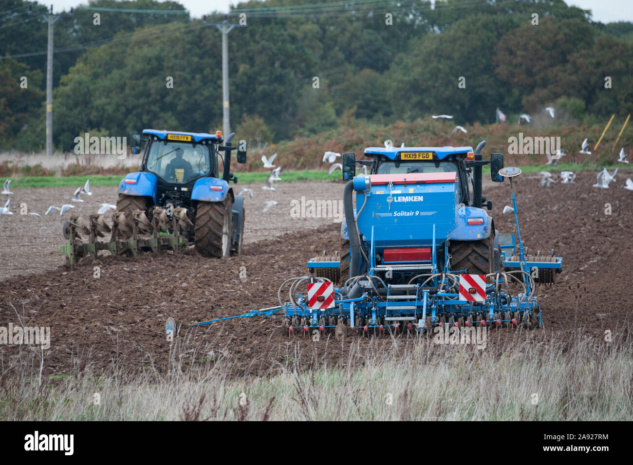 Blue New Holland T7 tractors ploughing and sowing seed in a field on Hayling Island UK Stock