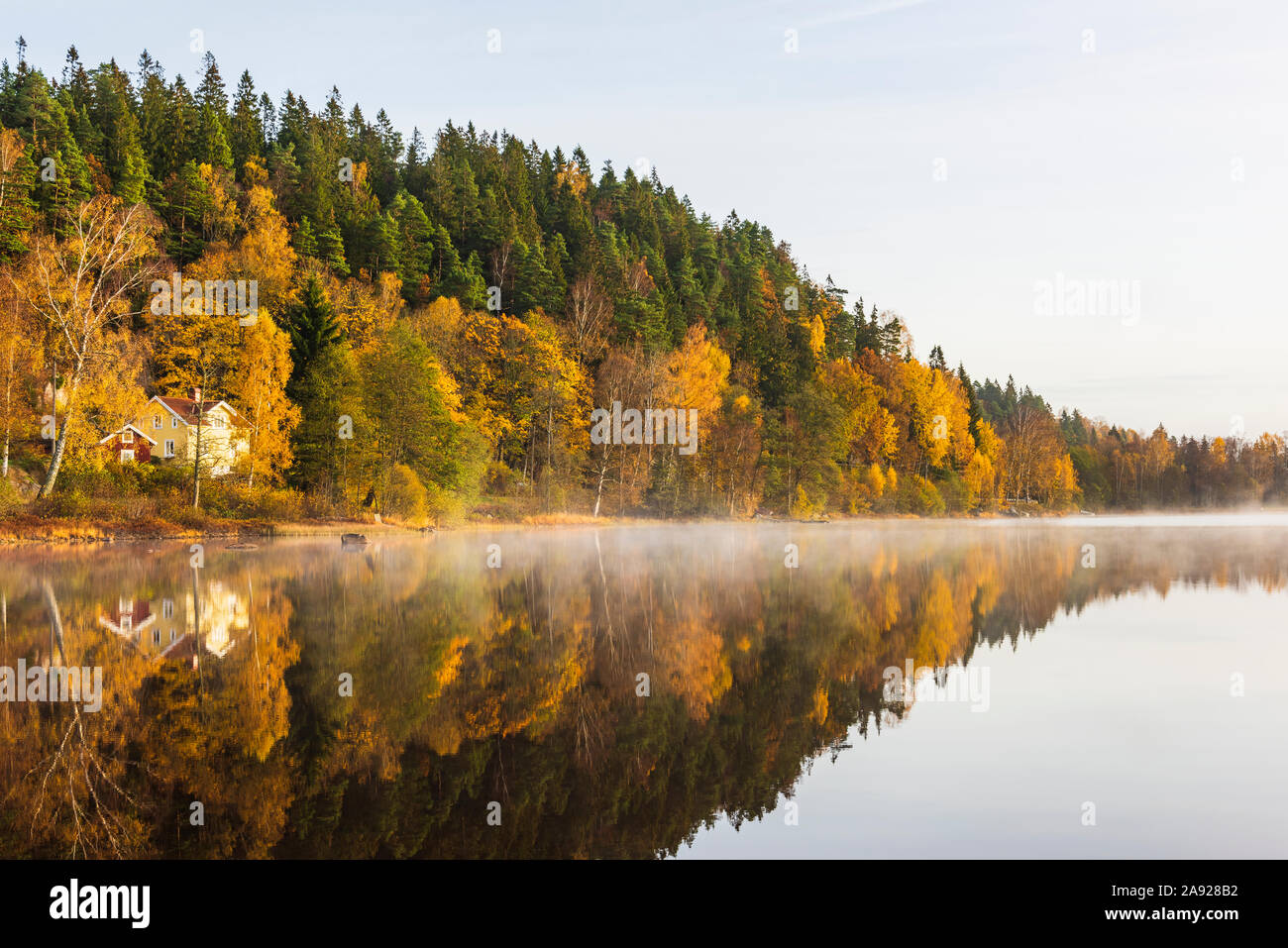 Autumn forest reflecting in lake Stock Photo - Alamy