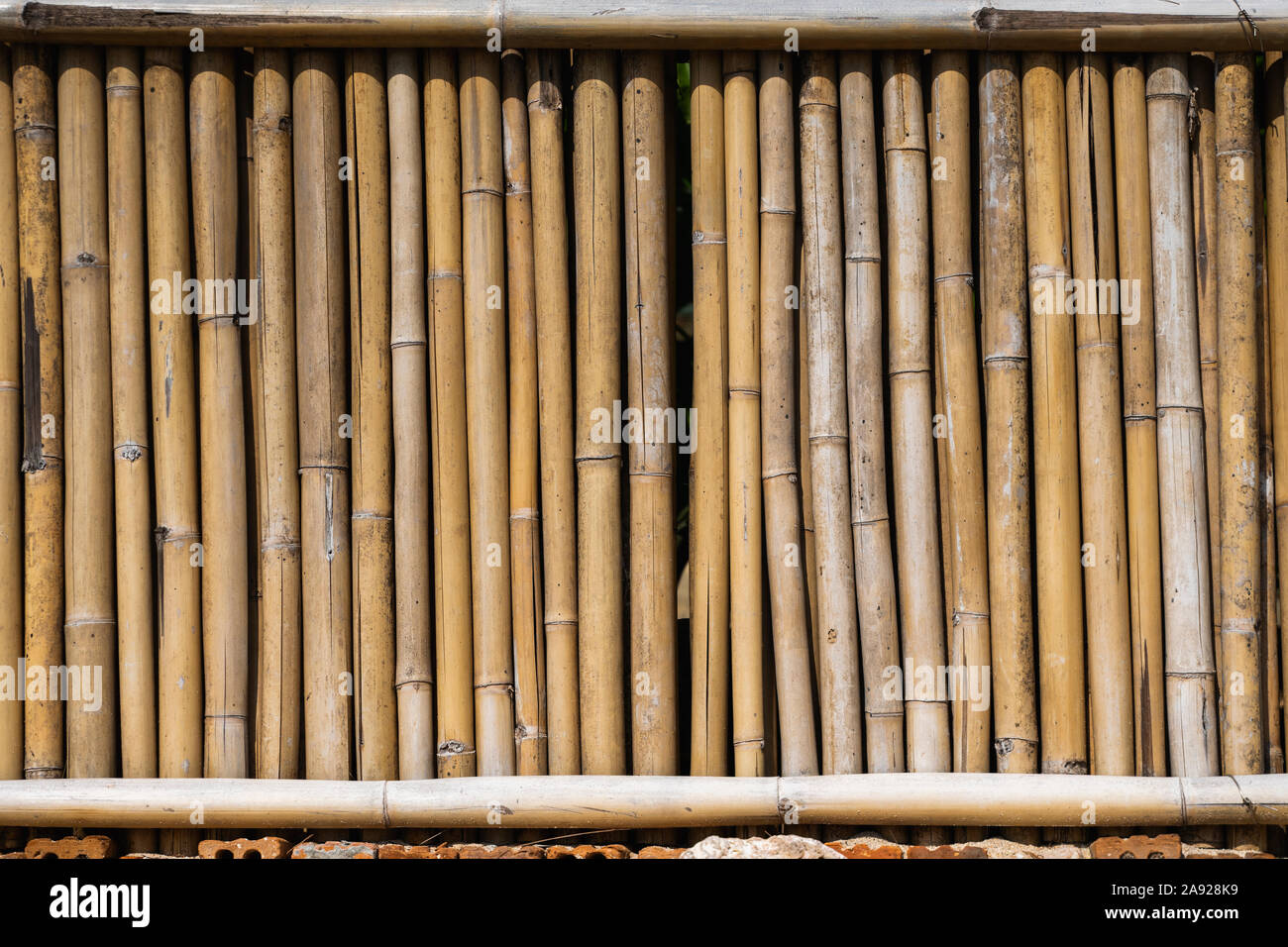 Bamboo stick isolated hi-res stock photography and images - Alamy