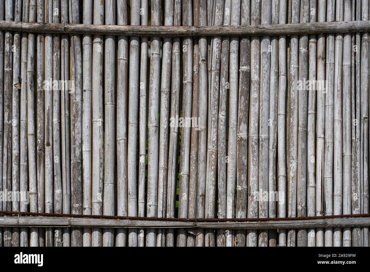 Dry bamboo fence texture or background. Eco natural background concept. Stock Photo