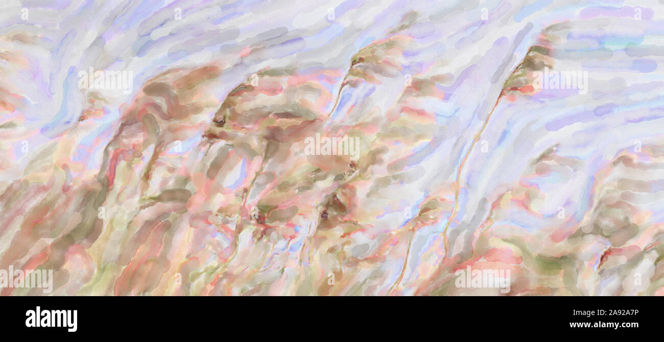 watercolor illustration: Reed grass in bloom, scientific name Phragmites australis, deliberately blurred, gently swaying in the wind on the shore of a Stock Photo