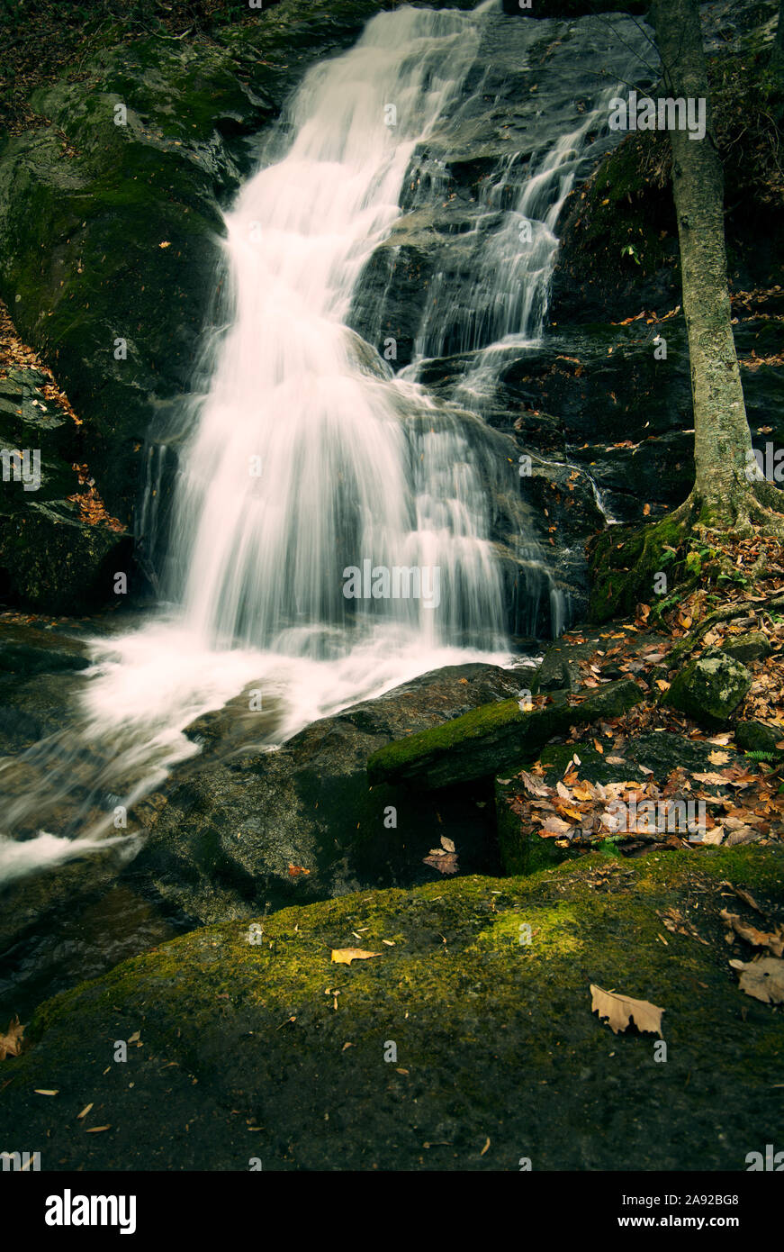 Nelson county hires stock photography and images Alamy