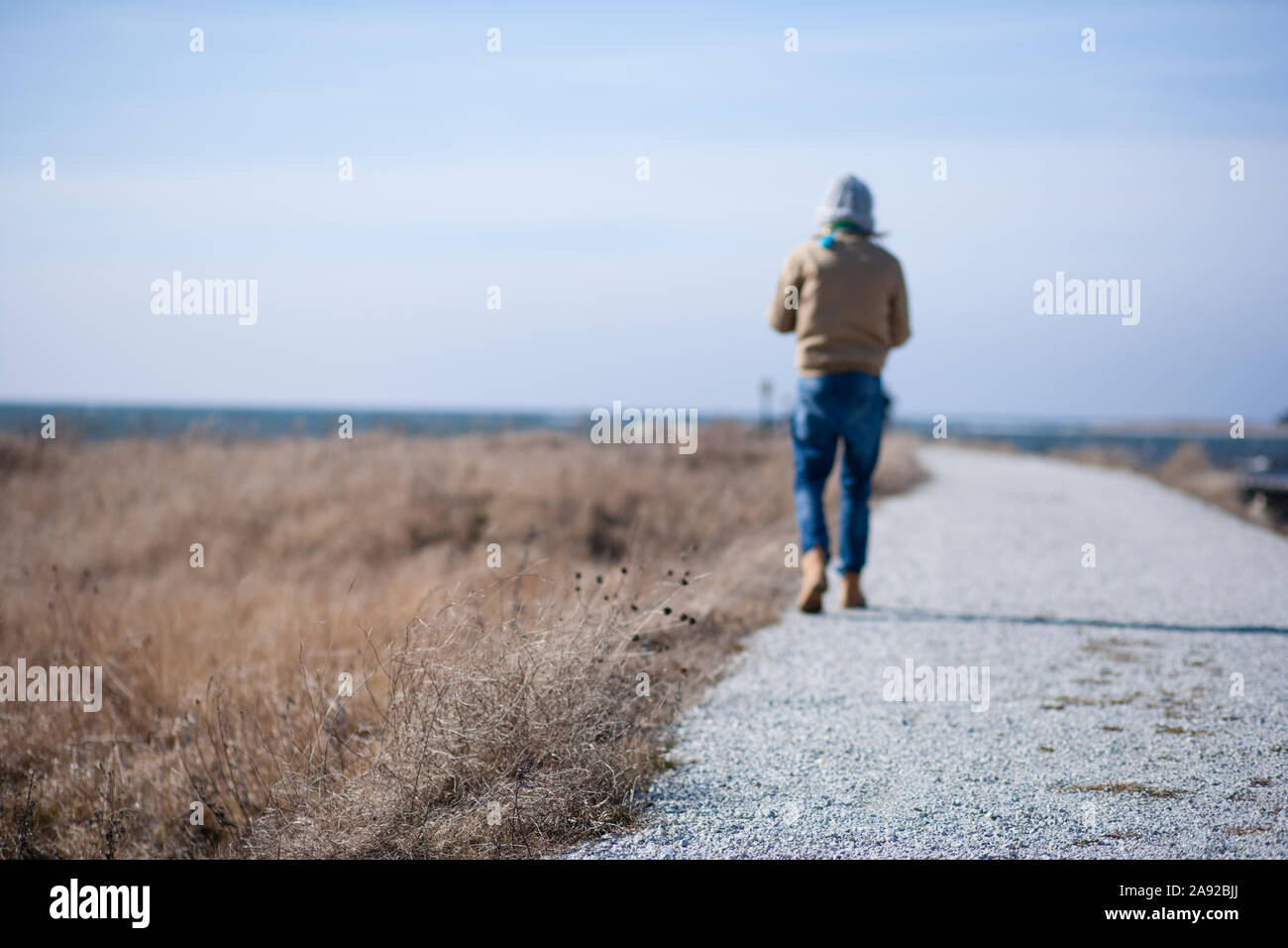 Dry grass near path Stock Photo Alamy