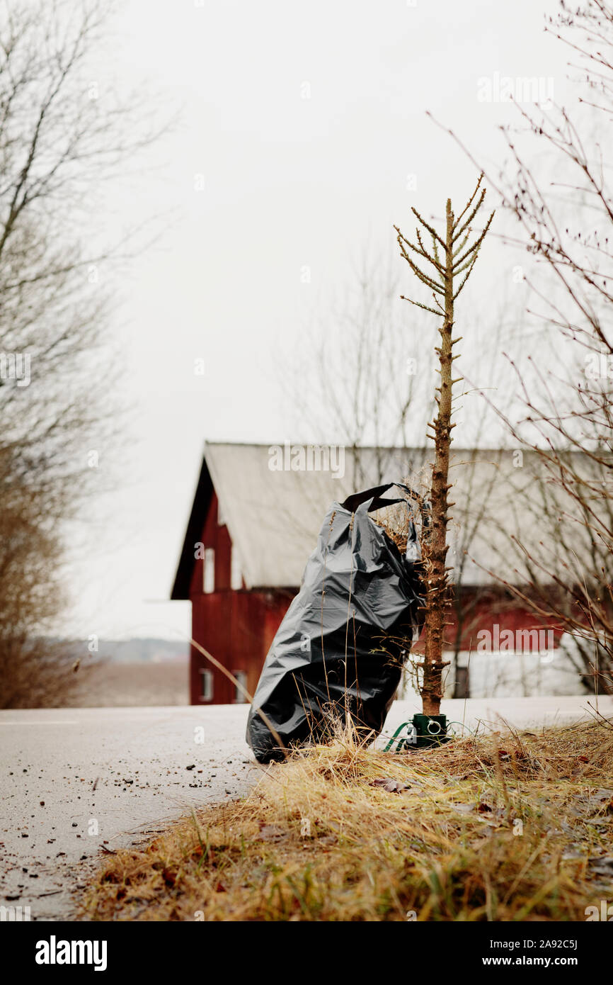 Details more than 142 christmas tree garbage bag esthdonghoadian