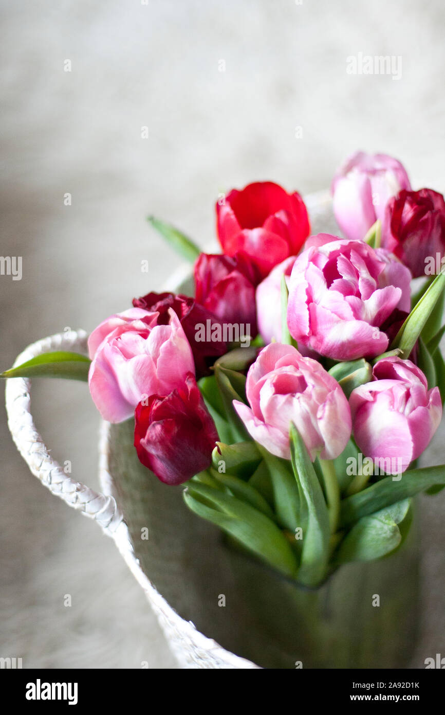 Tulips in basket Stock Photo Alamy