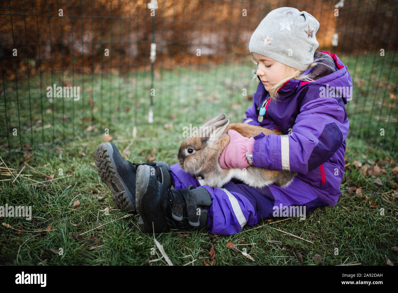 Girl with rabbit Stock Photo - Alamy