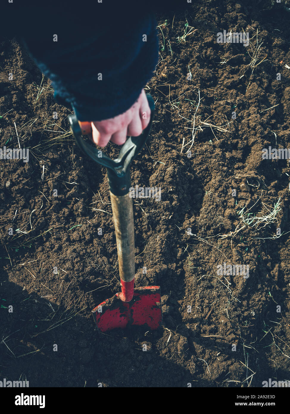 Hand with spade Stock Photo Alamy