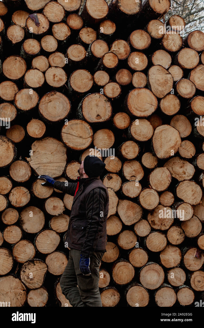 Man standing in front of stack of logs Stock Photo