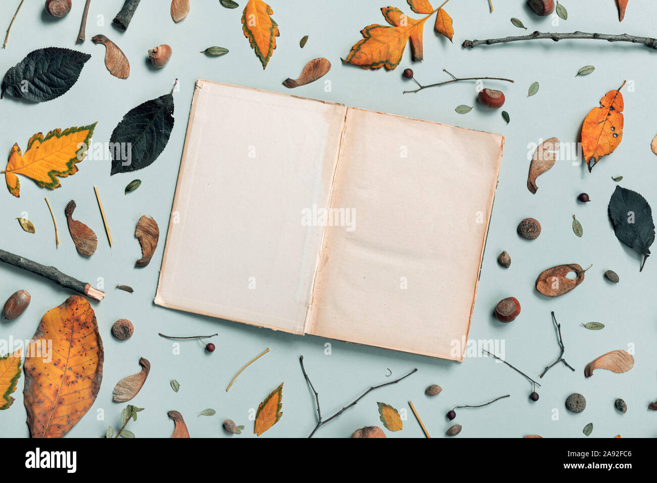 Vintage open book pages mock up with autumn decoration, flat lay top view copy space Stock Photo