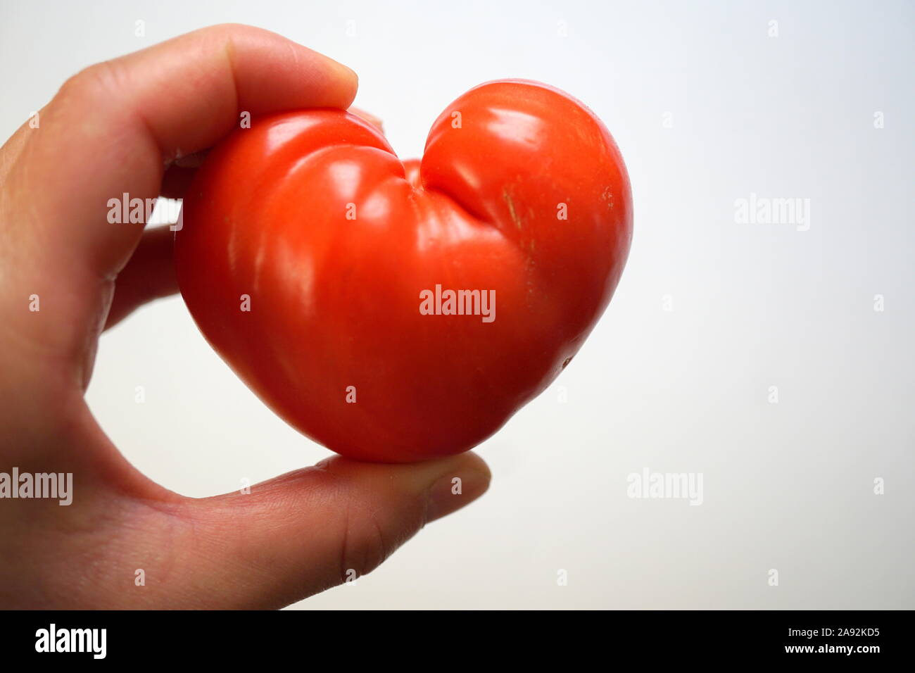 Healthy heart concept (heart health), heart shaped (ox heart) tomato